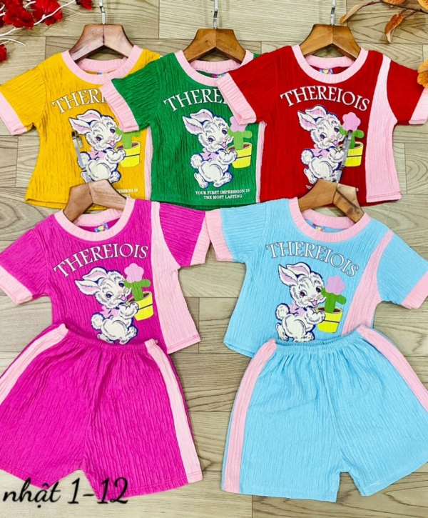 SET ĐÙI THUN SỐP THEREIOIS